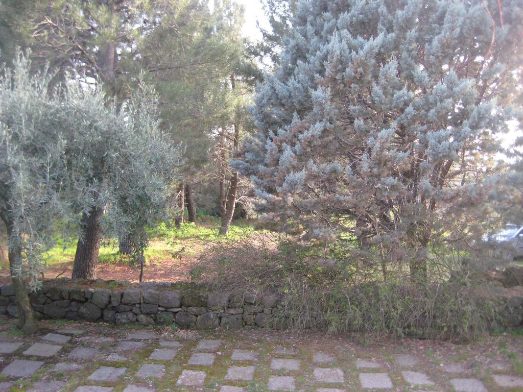 فيلا La Casa Del Cavaliere Santa Maria di Licodia الغرفة الصورة